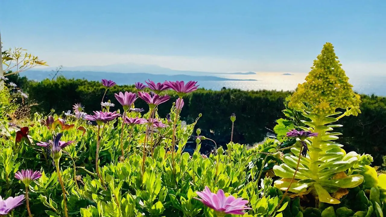 Vue Mer Panoramique Et Piscine バンドール 0*,