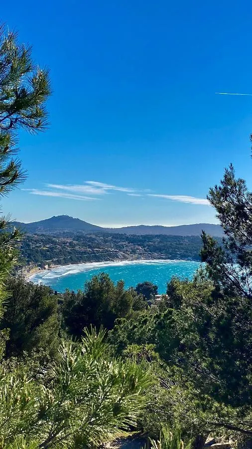 Vue Mer Panoramique Et Piscine Bandol France